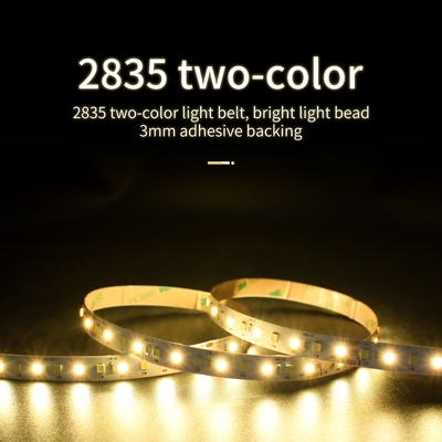 Temperatura del colore doppia SMD 2835 LED della banda al neon della striscia di IP30 12V 24V
