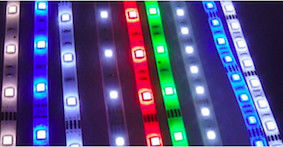 lampade 120 LED del paesaggio della luce di striscia di 12V 24V 3528 Smd Dimmable LED/larghezza PWB di m. 8mm