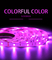 Luce al neon dell'atmosfera della decorazione domestica flessibile della striscia di colore pieno 5050 SMD RGB LED