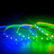 Cambiamento leggero flessibile principale di colore della striscia di Waterproo delle lampade fluorescenti di Rgb 5050