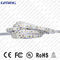 DC12V impermeabilizzano la striscia 120 LED di SMD 2835 LED/rotolo di m. 100m/3 anni di garanzia