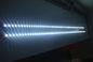 Non impermeabilizzi il rotolo delle lampade fluorescenti del LED, le strisce flessibili 3528 di RGB SMD LED