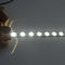 Luce di striscia impermeabile di 12/24V SMD 5050 LED 60 LED/ente di rame flessibile lampada di m.