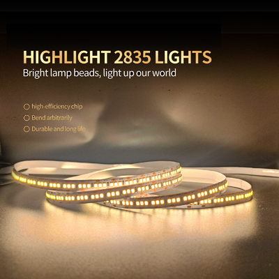 Luce principale esile flessibile 120 di bassa tensione 12/24V 2835 della luce di striscia