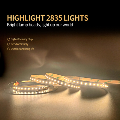 2835 una striscia flessibile Dimmable di 120 lampade LED hanno condotto le lampade fluorescenti