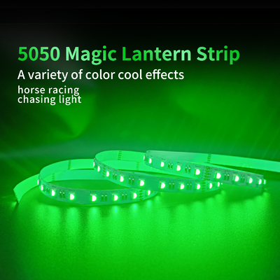 Bassa striscia leggera flessibile principale RGBW di tensione 5050 di alta luminosità